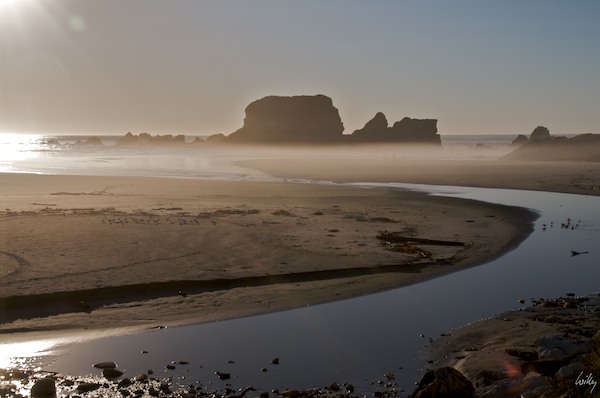 New Zealand 09 10  164